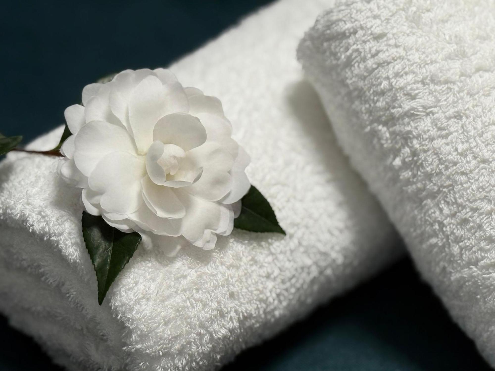 Holiday home Camelias Herrera del Duque